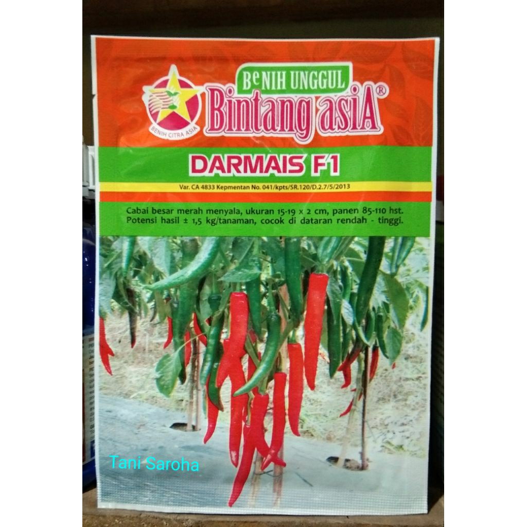BIBIT BENIH CABE BESAR DARMAIS 10 GR BINTANG ASIA