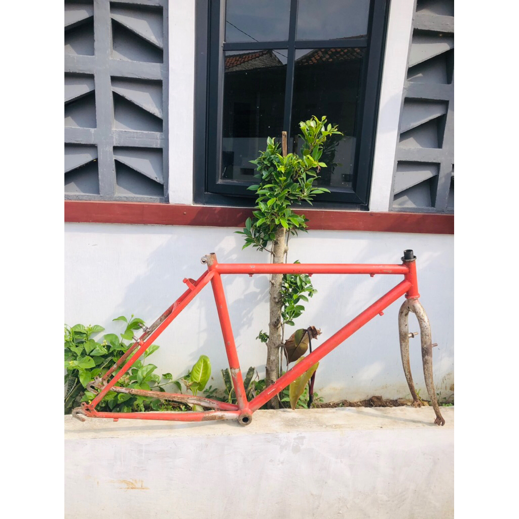 Frame Federal Streetcat 550