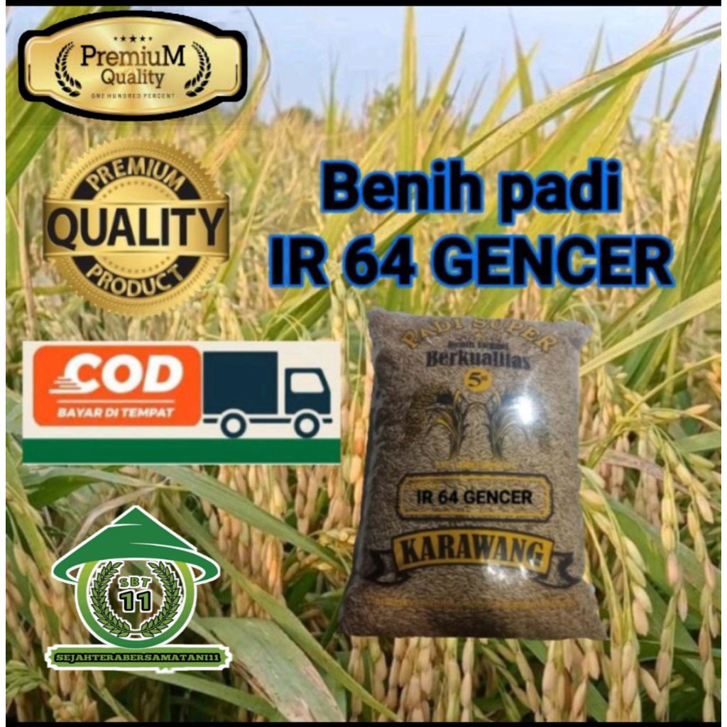 Benih Padi Unggul IR64 GENCER 5KG ORIGINAL