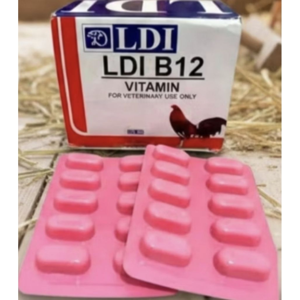 LDI B12 OBAT AYAM ENTOK ITIK