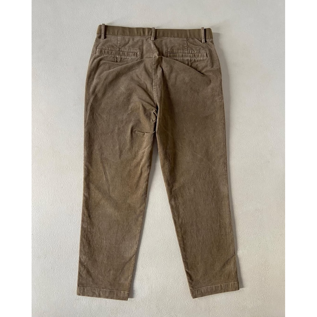 Ankle Pants Uniqlo