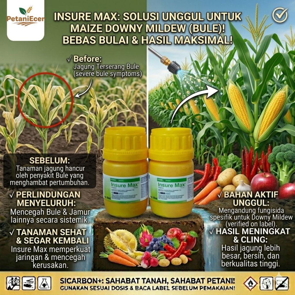 Insure Max 510 FS Fungisida Sistemik Pencegah Bulai Tanaman jagung