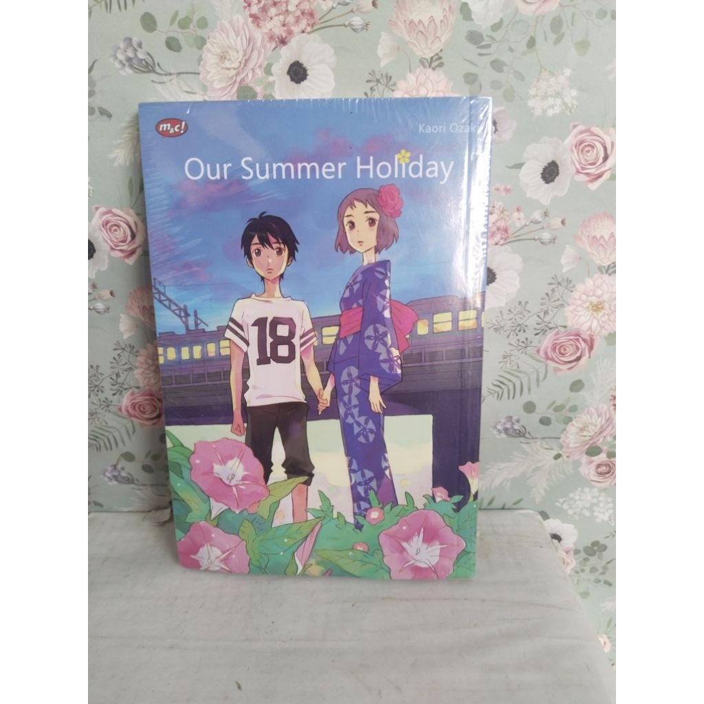 our summer holiday