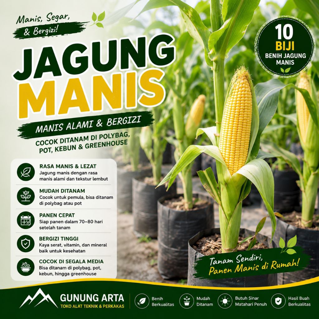 Benih Jagung Manis 10 Biji Bibit Sweet Corn Jagung Super Manis Cepat Panen