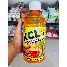 KCL Gold Plus ZPT Nutrisi Pembesaran Buah