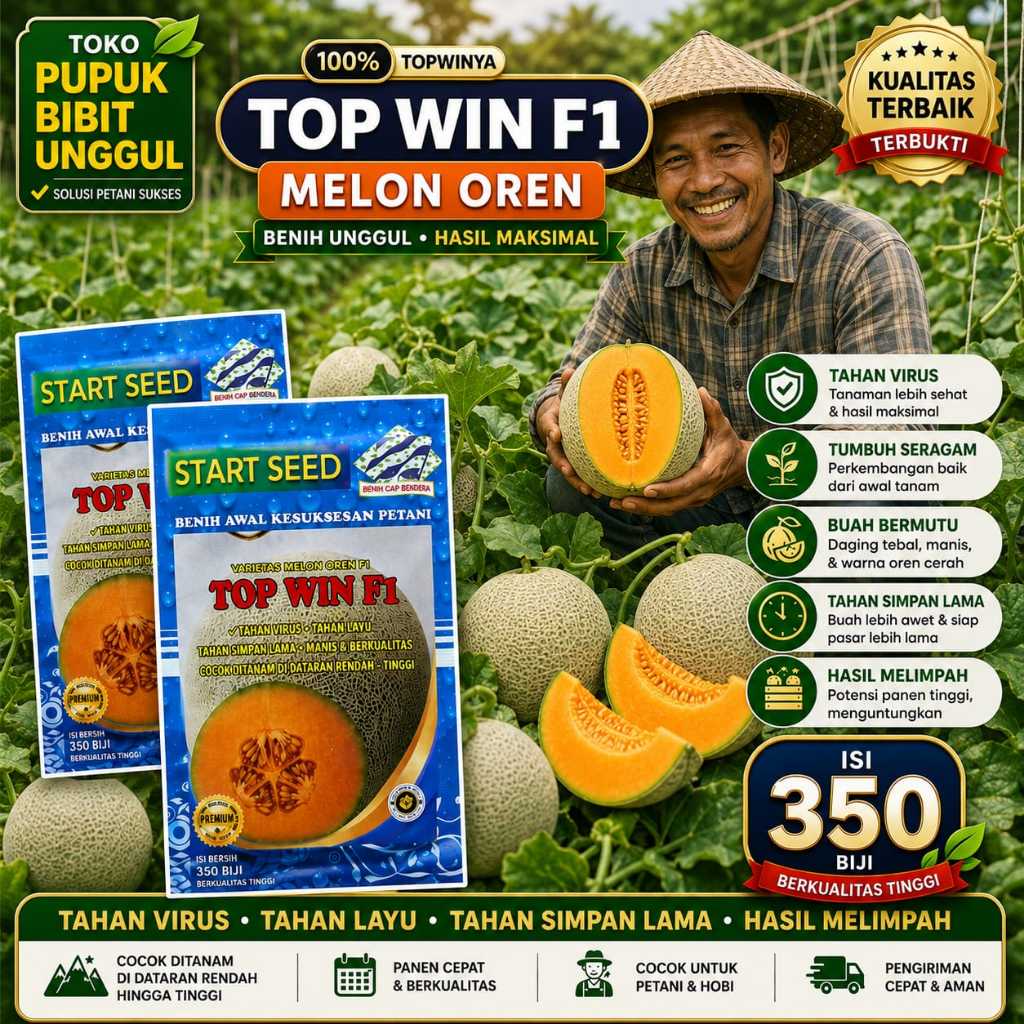 TOP WIN F1 benih melon madu super benih melon golden bibit melon madu super manis