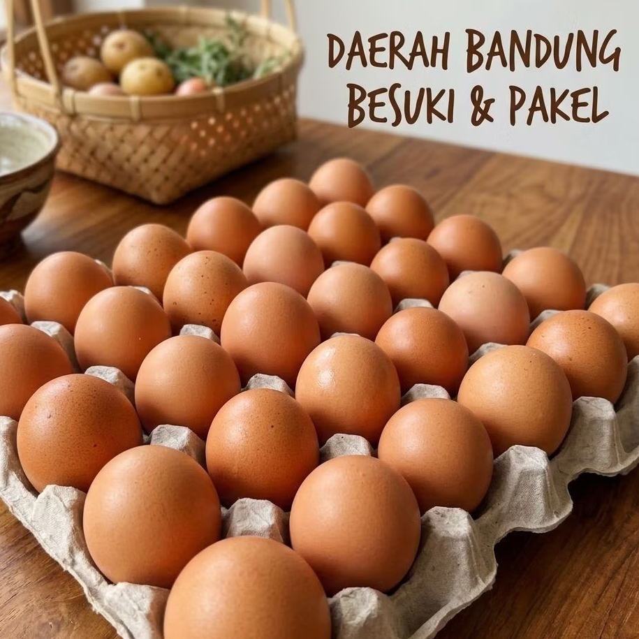 READY TELUR AYAM 1 KG (BANDUNG TLA)