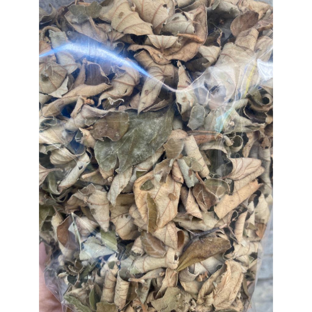 50gr DAUN BIDARA KERING / BIDARA KERING ASLI