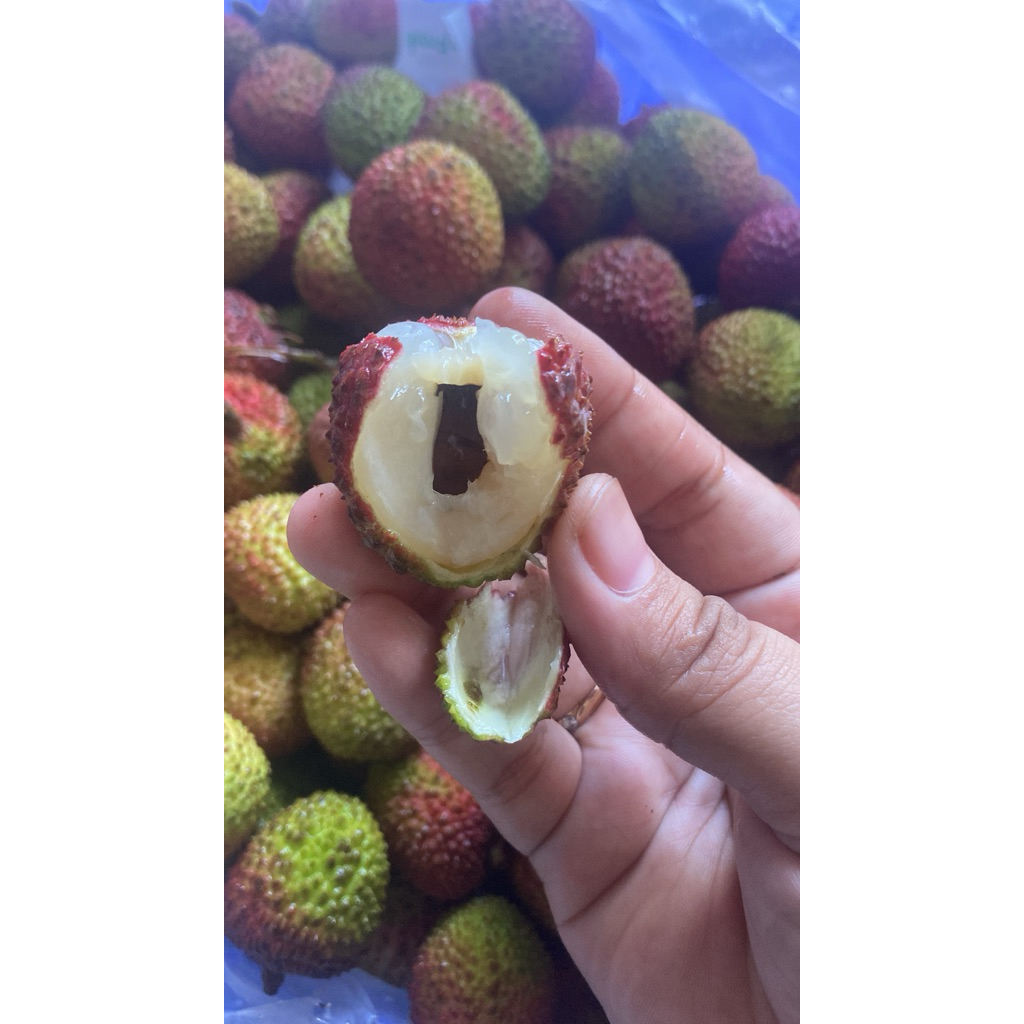 LECI MADU