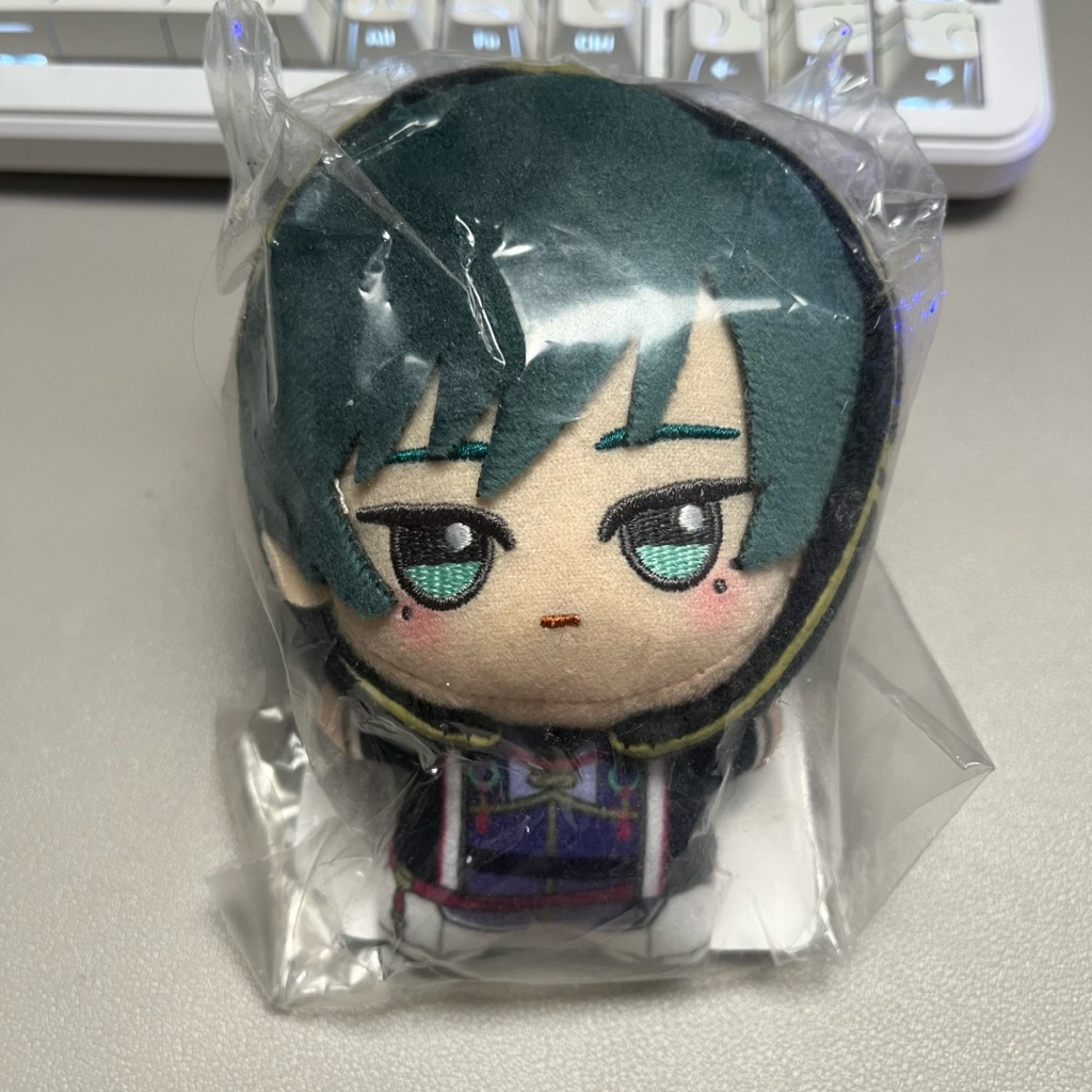 NEW SEALED Blue Lock Itoshi Rin Chibigurumi Chinese Ver
