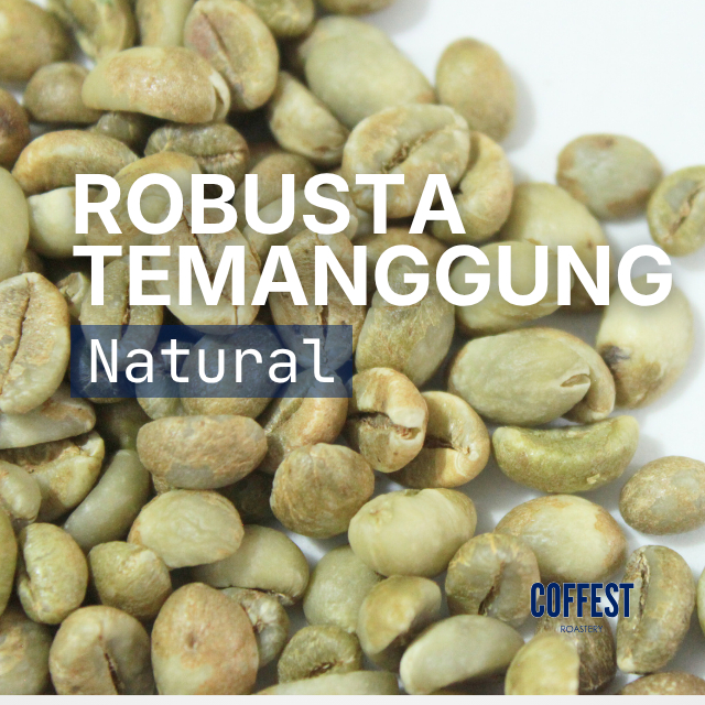 [GREEN BEAN] Robusta TEMANGGUNG Natural 1kg | Grade 1 Biji Kopi Mentah Espresso Blend Base