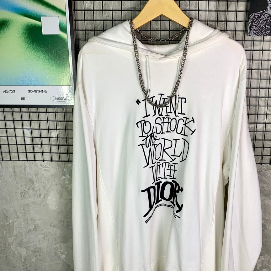 Dior x Shawn Stussy I Want To Shock The World Hoodie