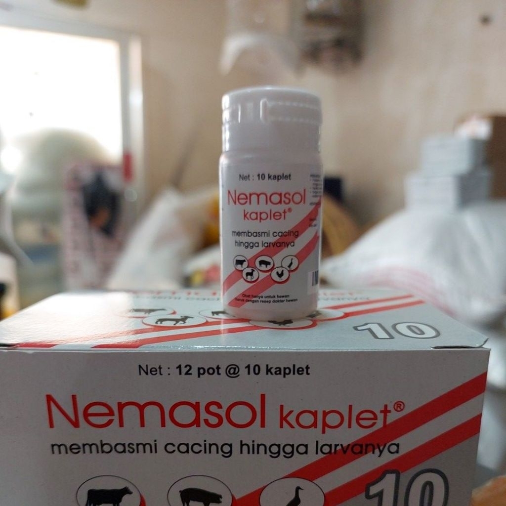 NEMASOL 10 KAPLET MEMBASMI CACING GILIK HINGGA LARVA