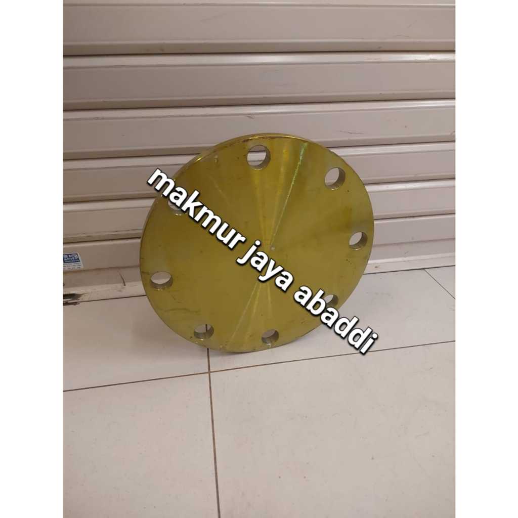 Blind flange carbon steel RF 12'' inch dn300 ansi150 blind flange besi 12'' inch ansi150
