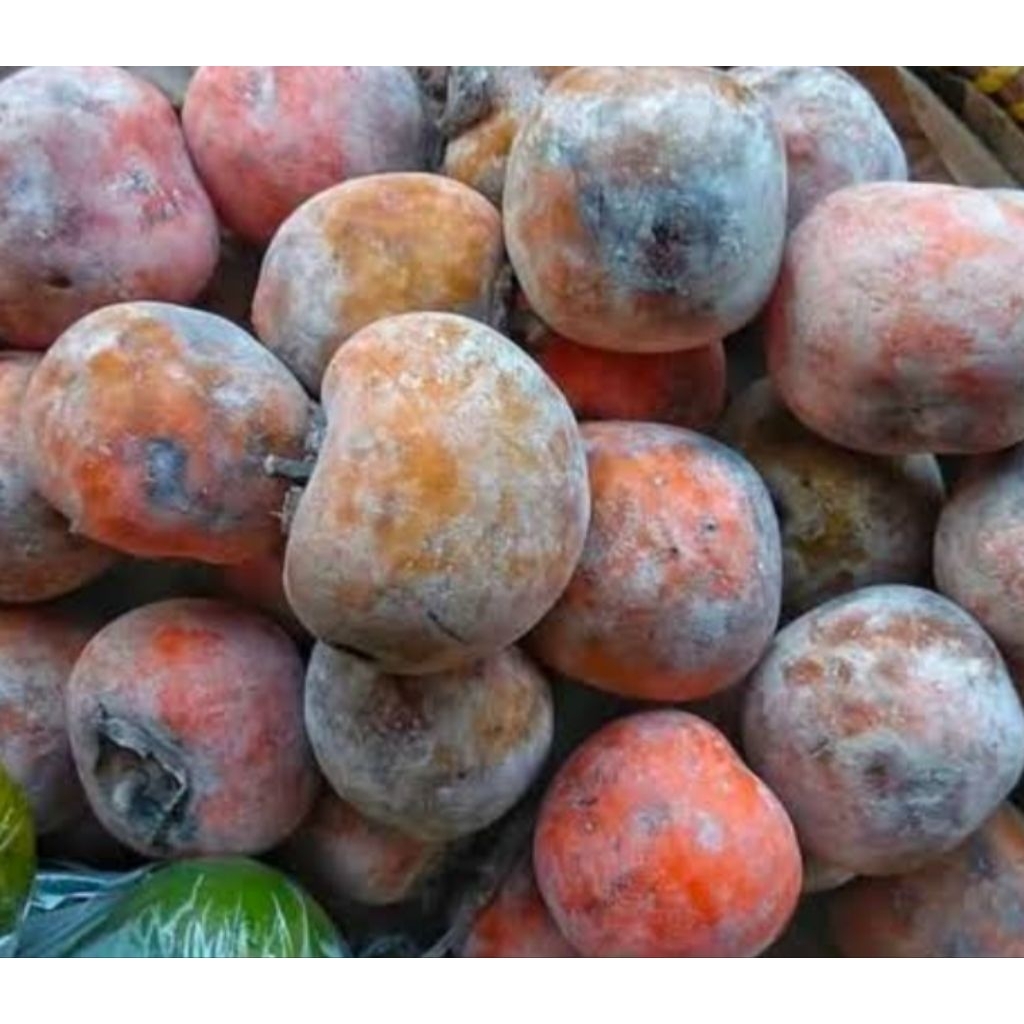 buah kesemek