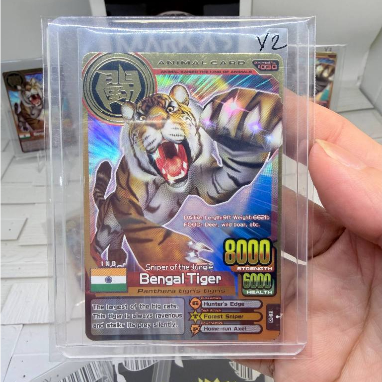 Kartu Animal Kaiser Plus Gold Bengal Tiger V2 Original Mesin