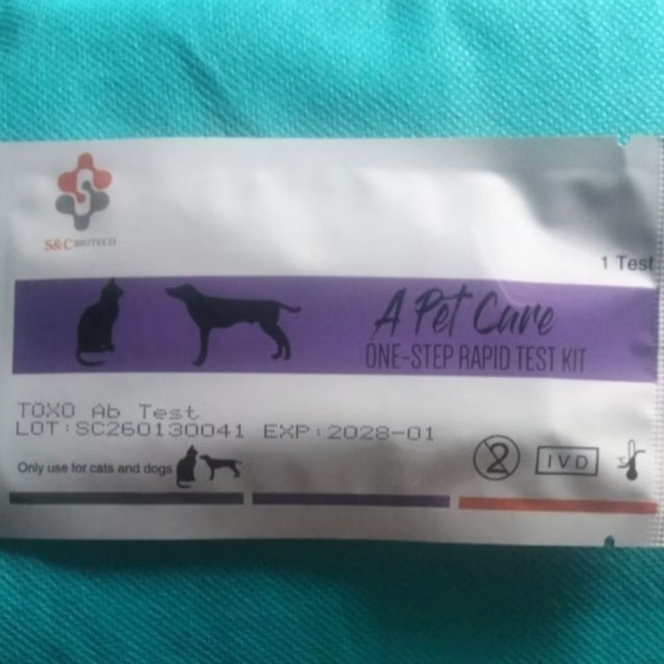 TOXOPLASMA (IgG/IgM) Antibody/TOXO Ab Rapid test kit/Rapid Test Kucing-anjing/Feline Rapid Test Kit/