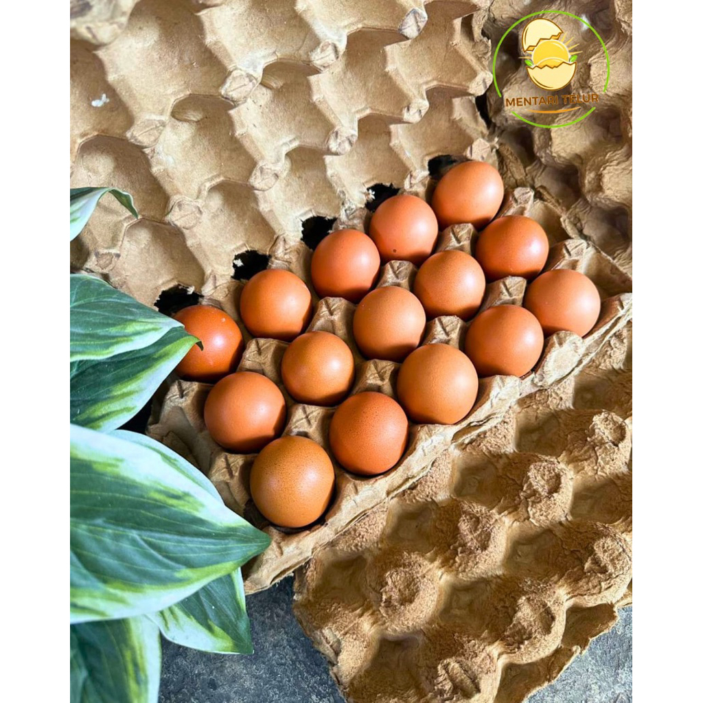 Telur Ayam Negri Premium Per 1 Kg
