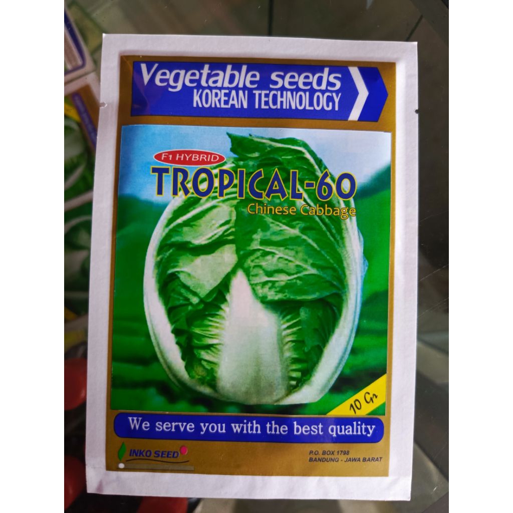 Benih Sawi Tropical 60 dari Inko Seed