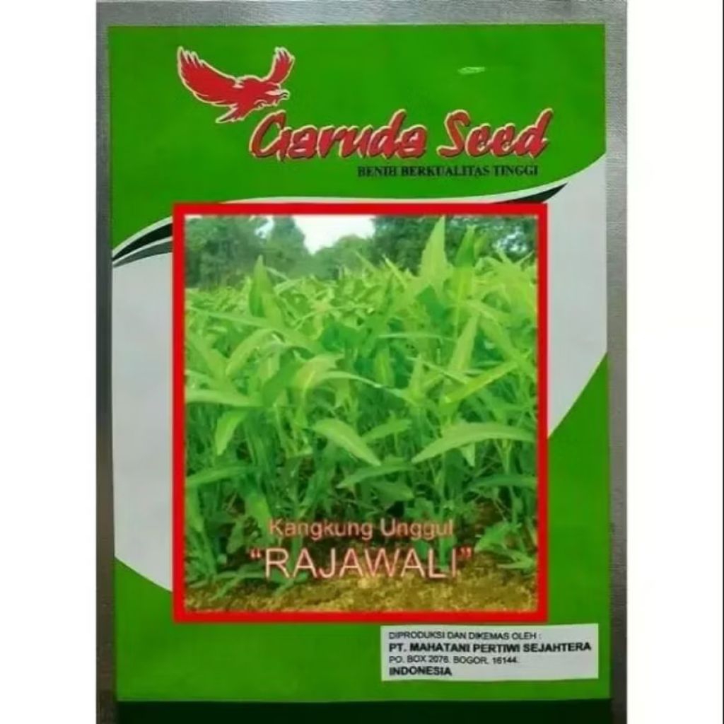 Benih kangkung Rajawali 250 gram. Benih kangkung Produk Garuda Seed