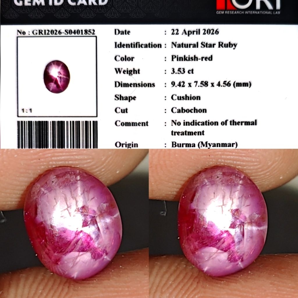 Natural Star Ruby Burma Belang No Heated 3.5ct GRI Star Kenceng Mayung Material Crystall Body Kaca M