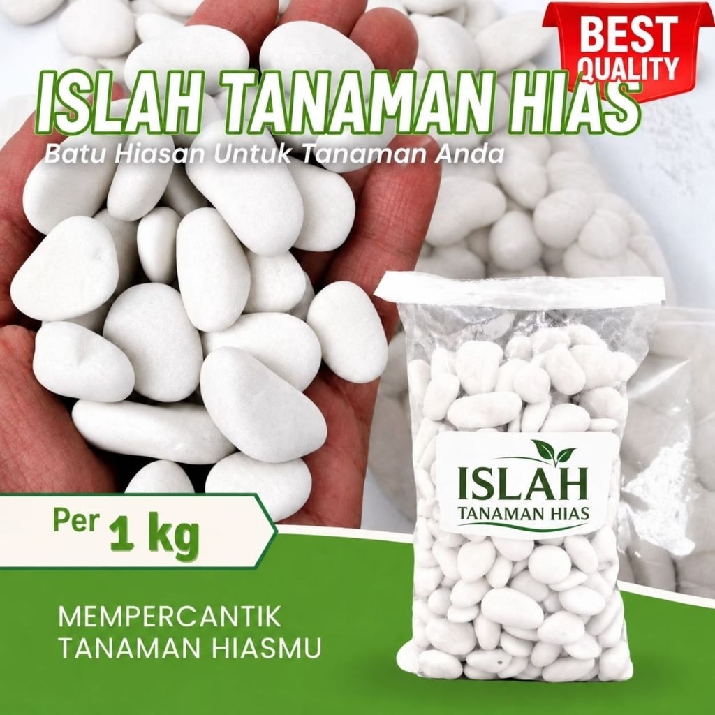 Batu Koral Putih Untuk Hiasan Tanaman Dan Taman Batu Coral Putih