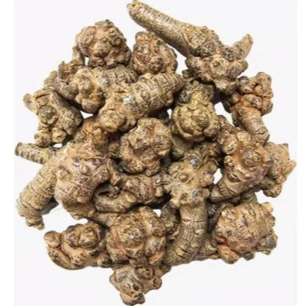 100 GRAM TIANQI / TIAN QI / San Qi / Panax notoginseng / Notoginseng / TianChi TienQi TianCi