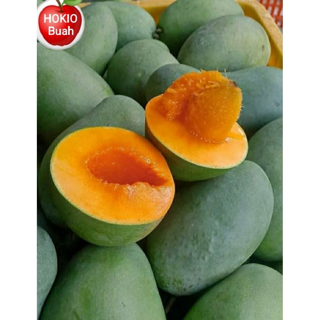 Mangga Gadung Harumanis 1kg