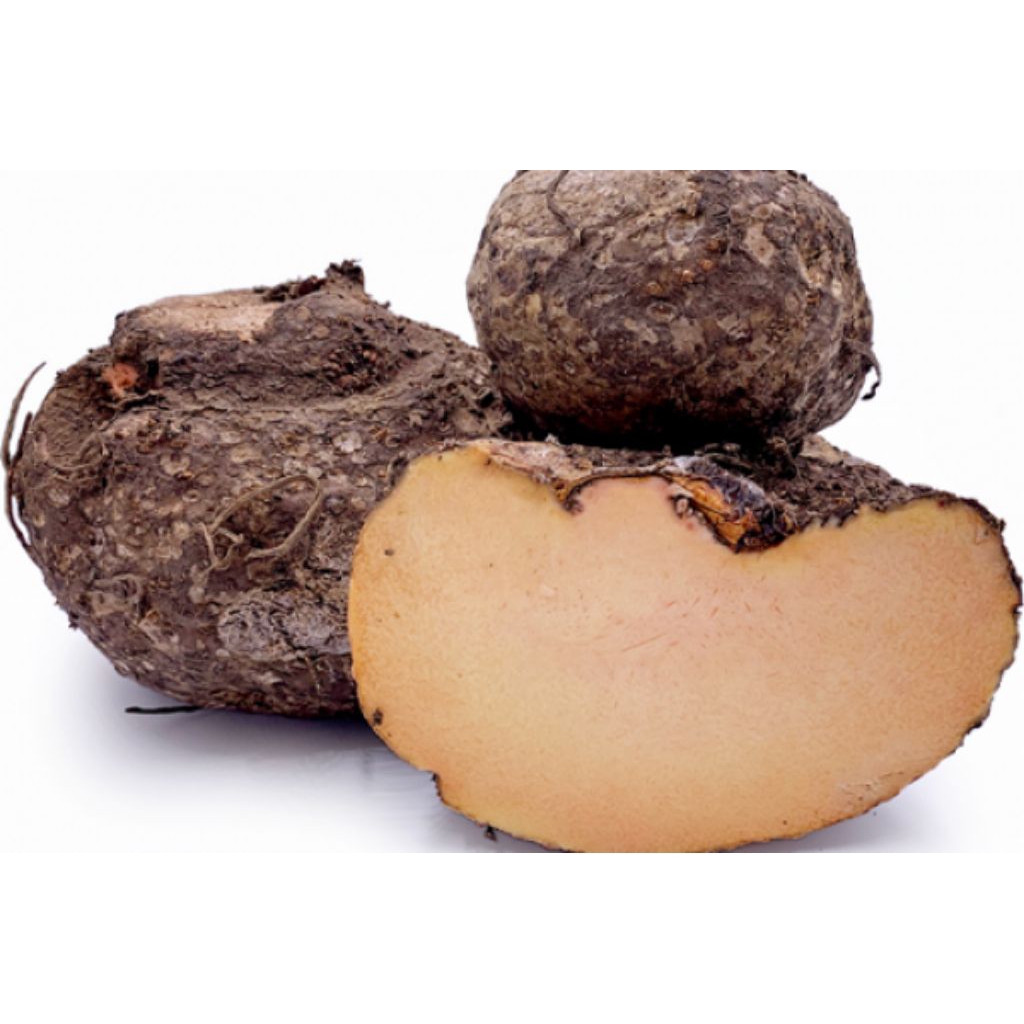 Umbi suweg 1 kg mentah
