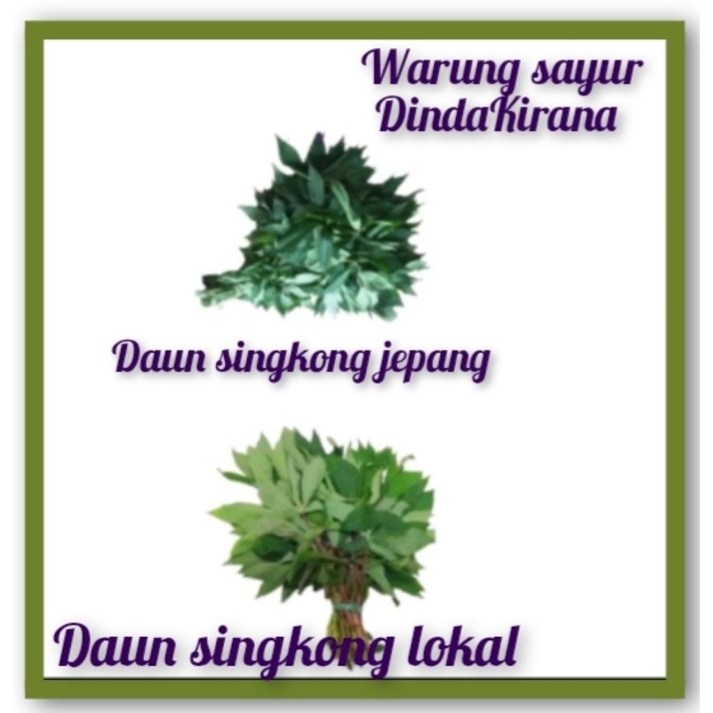 daun singkong lokal dan daun singkong jepang per 1 iket segar