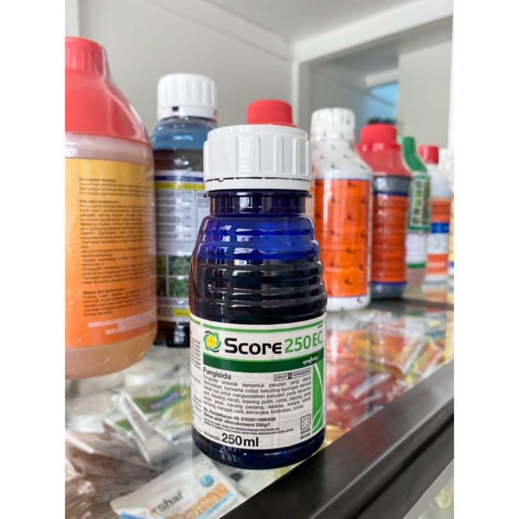Score 250ml