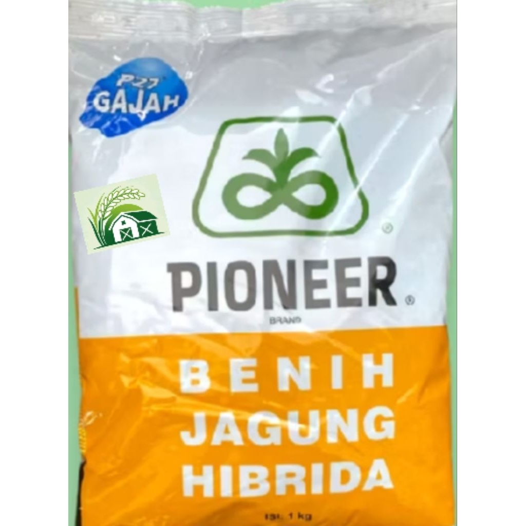 benih jagung hibrida Pioneer p27 kemasan 1kg benih jagung Pioner p27