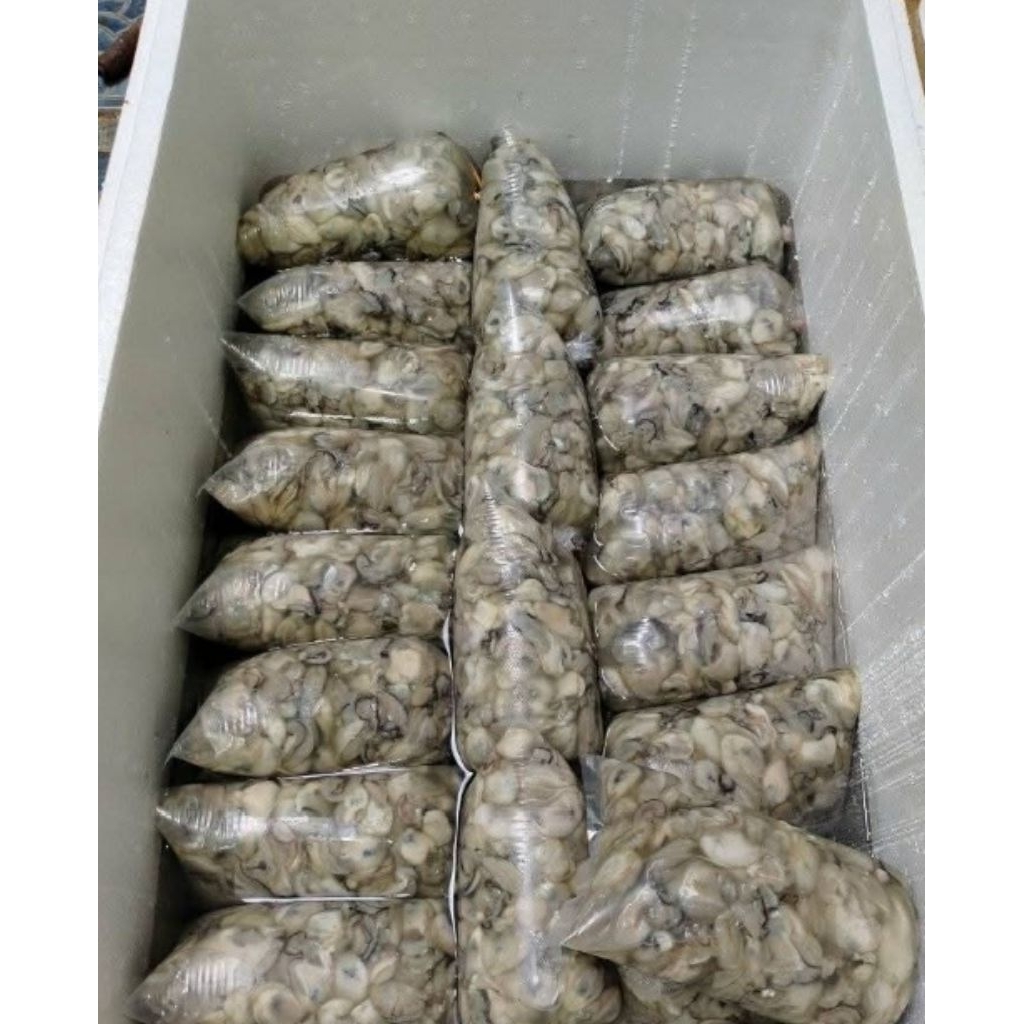 kerang tiram kupas