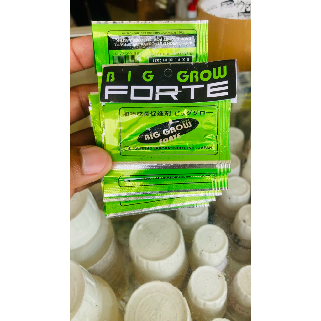 Booster buah Biggrow Big Grow Forte 1gr ZPT Asam Giberelin (GA_3)