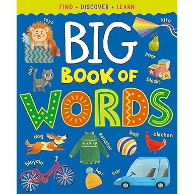 Big Book of Words (A Look and Find Learning Adventure)
