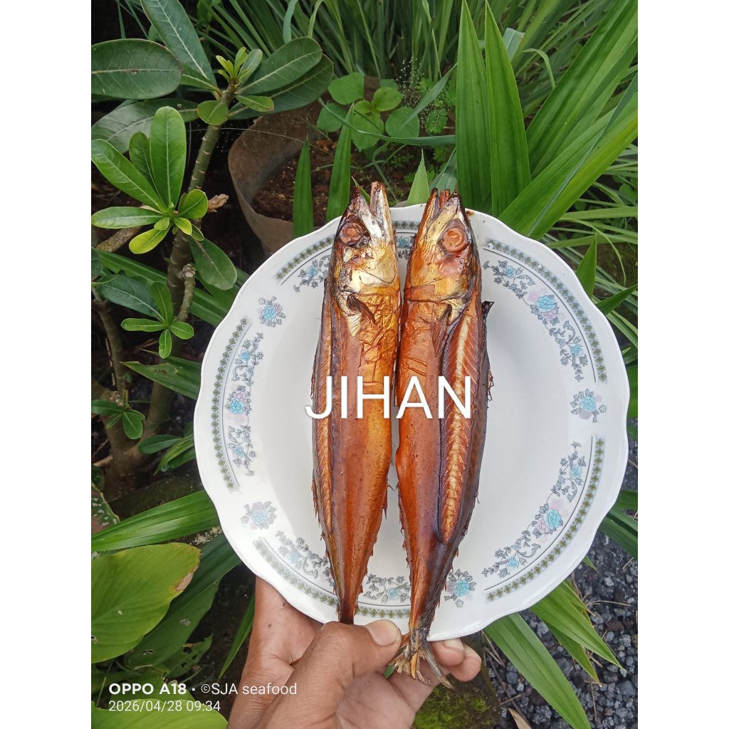 Ikan Asap Salem cuma 7.000
