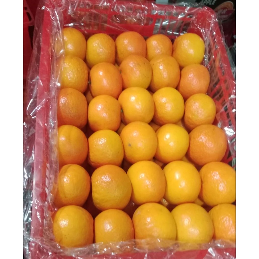 Indukbuah Buah Jeruk Mandarin Wogan Manis 1 Keranjang