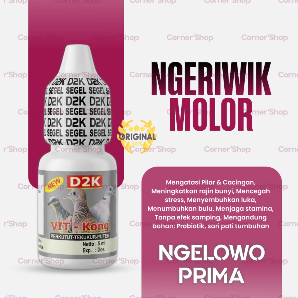 D2K Vit Kong Vit Burung Perkutut Puter Derkuku Rajin Bunyi