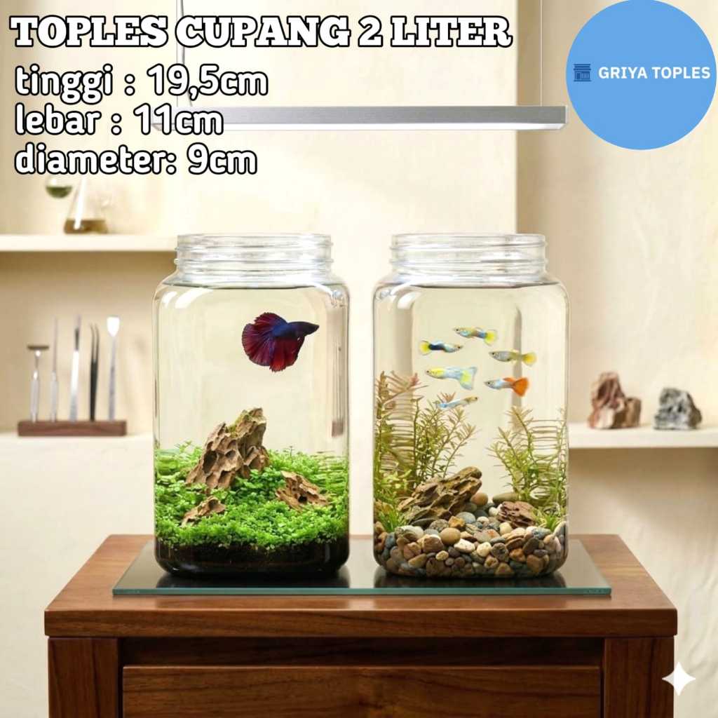 TOPLES  PLASTIK 2 LITER KOTAK / TOPLES PLASTIK  CUPANG 2 LITER TANPA TUTUP / TOPLES PLASTIK 2 LITER 