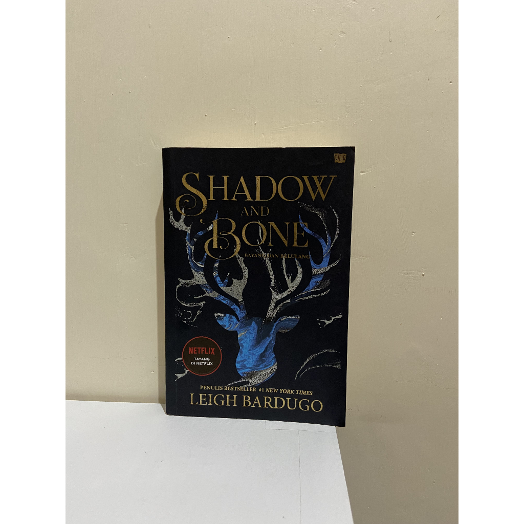 Preloved Novel ‘Shadow and Bone’ (ID) - Leigh Bardugo