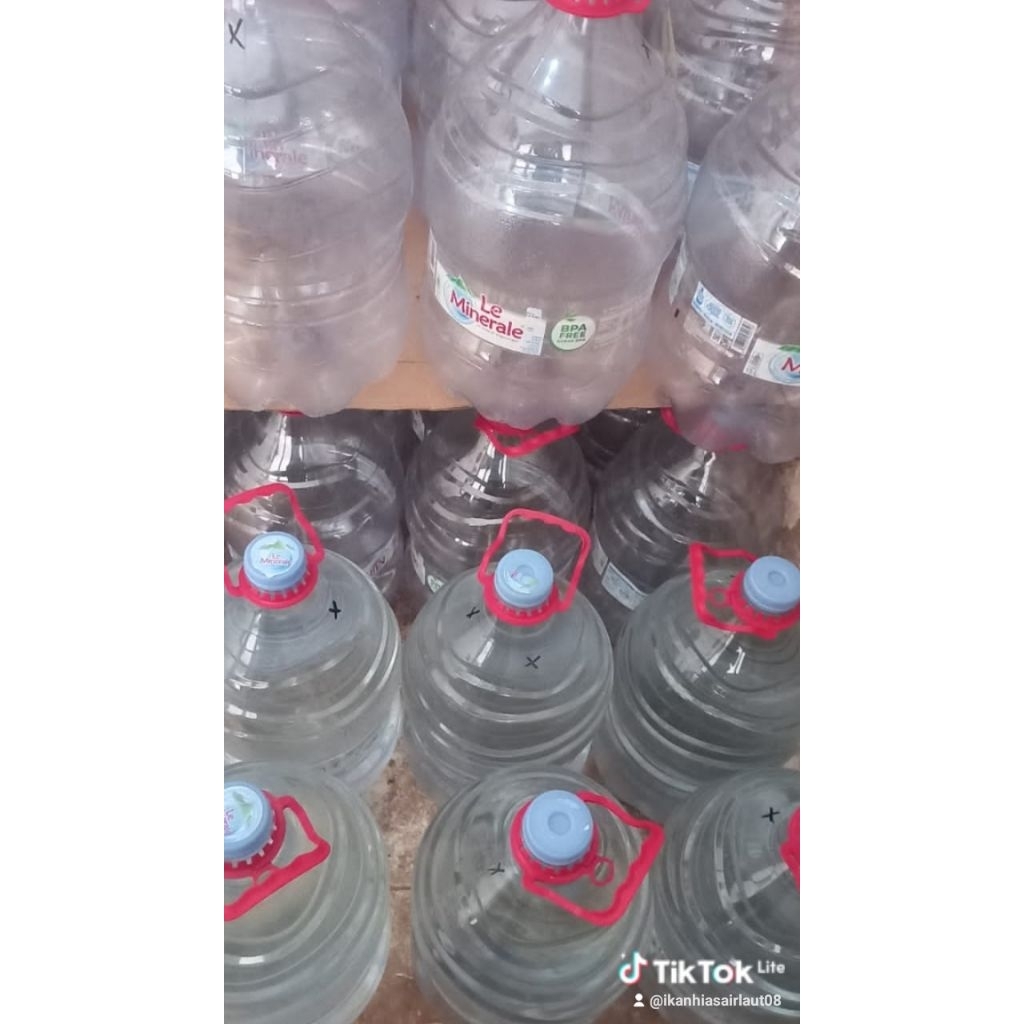 Air Laut Buat Aquarium