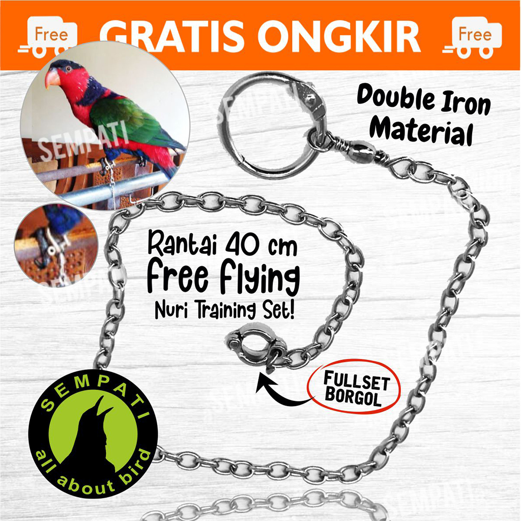 SEMPATI RANTAI BURUNG NURI PELANGI RING BORGOL IMPORT 7 MM RANTAI FF UMBARAN FREE FLYING RANTAI GELA