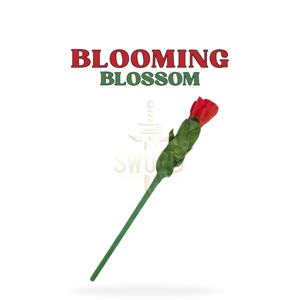 Sulap Blooming Blossom - Blooming Rose - Comedy Flower - Rose Magic - Sulap Komedi Bunga Mawar - Sul