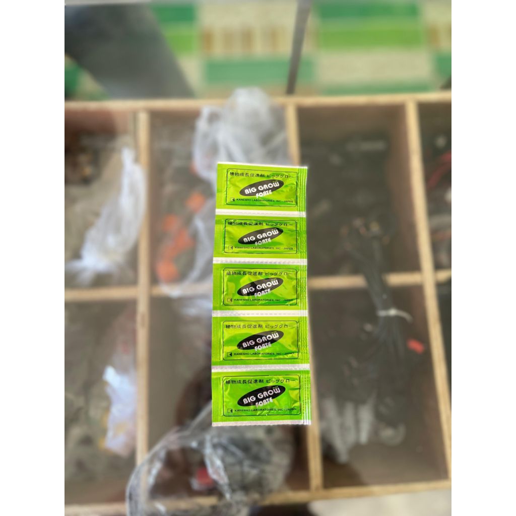BIG GROW FORTE 20 WP 1 gr