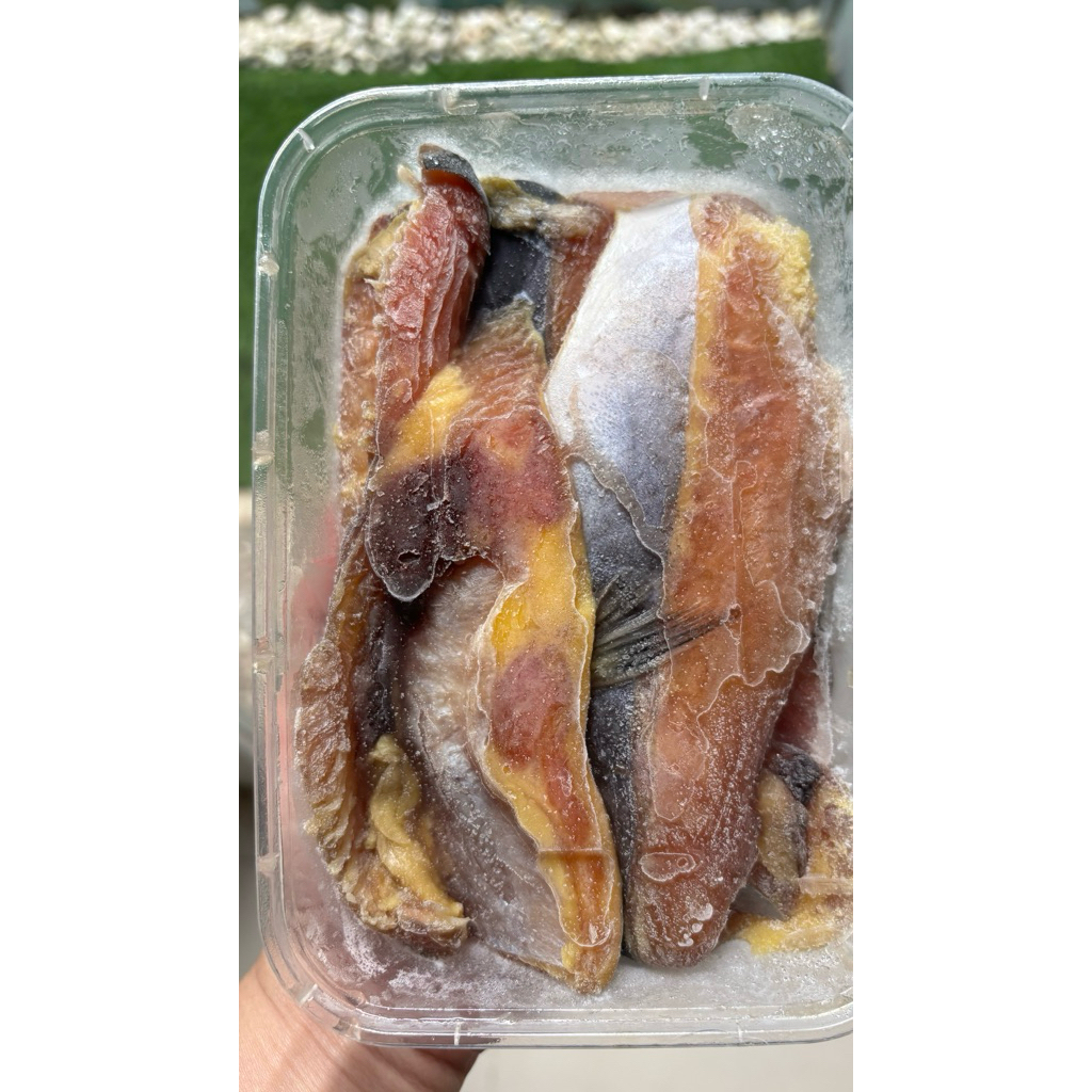 Patin Fillet 500gr