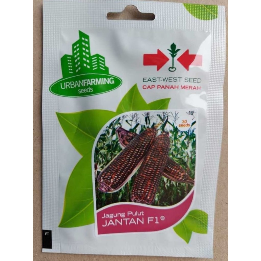 Benih Jagung Pulut Gt Jantan F1/ Merah Cap Panah Merah