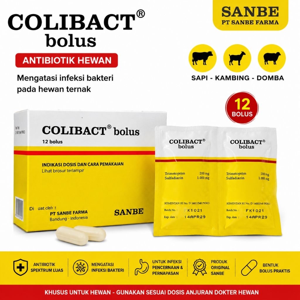Colibact Bolus 1 dus