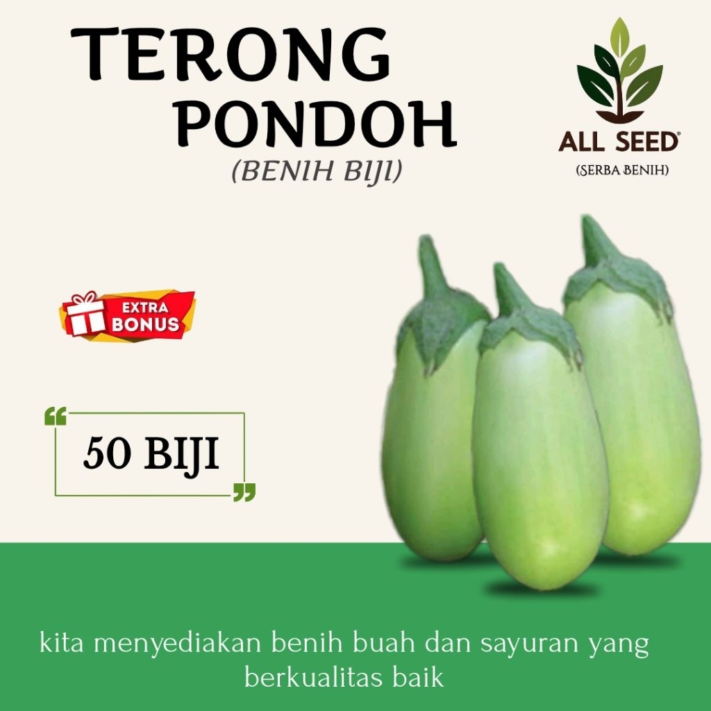 ( 50 BIJI ) Benih terong pondoh / bibit terong / terong kapol / terong bekem