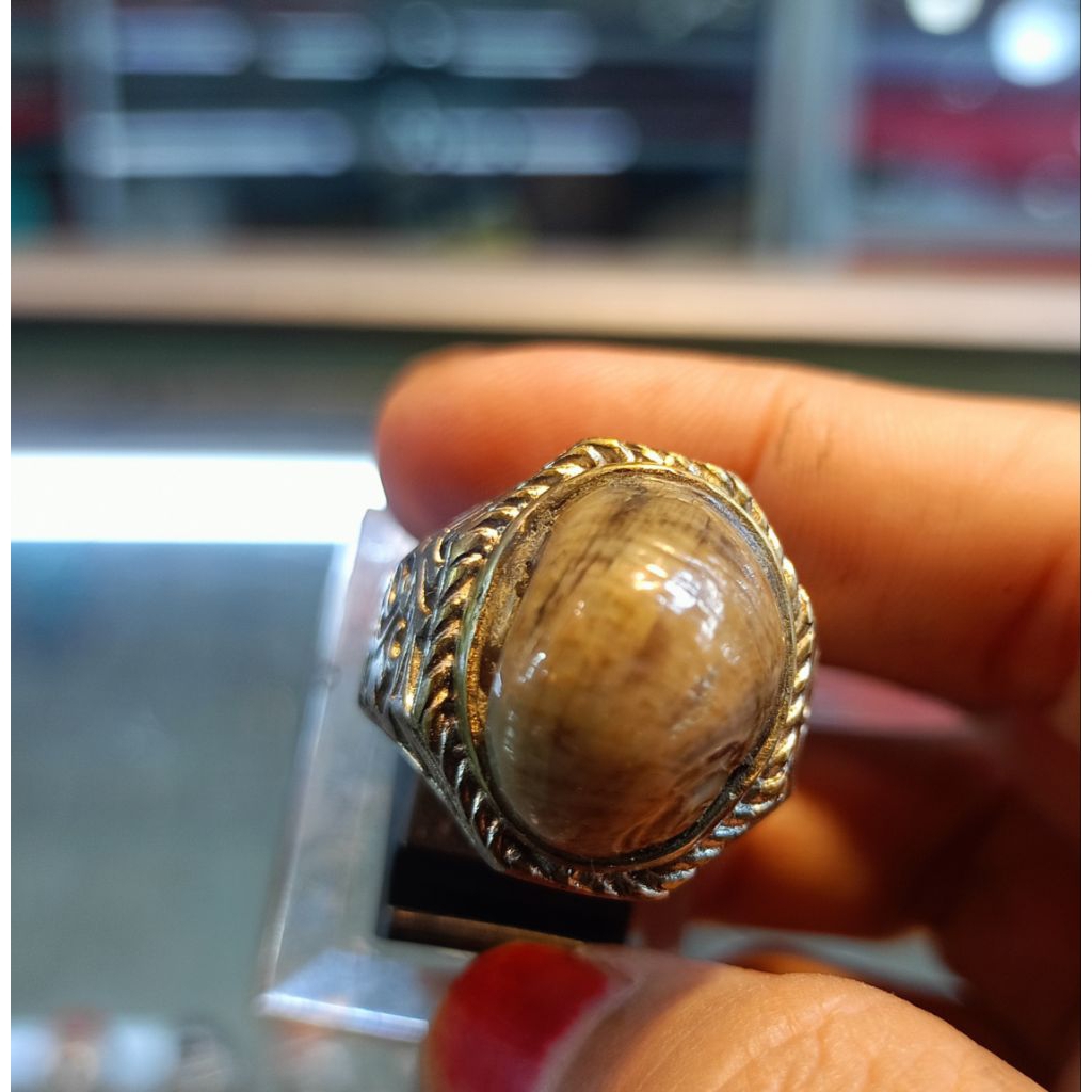 Cincin Fosil keong/kool buntet(Natural)