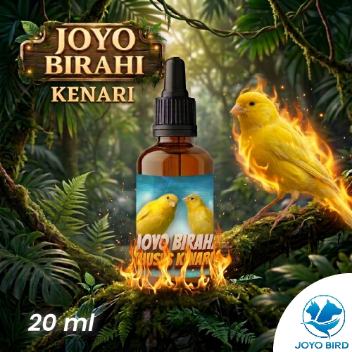 OBAT BURUNG PENDONGKRAK BIRAHI KENARI | VITAMIN BURUNG PENDONGKRAK BIRAHI TESTOTERON & ESTEROGEN | M